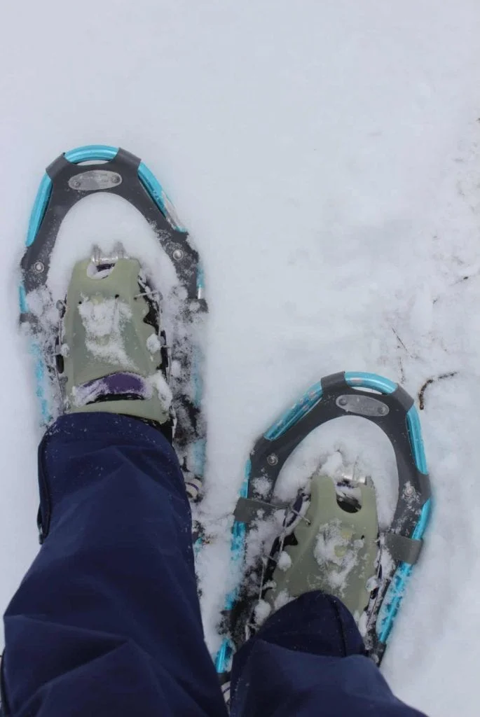 blue snowshoes on feet