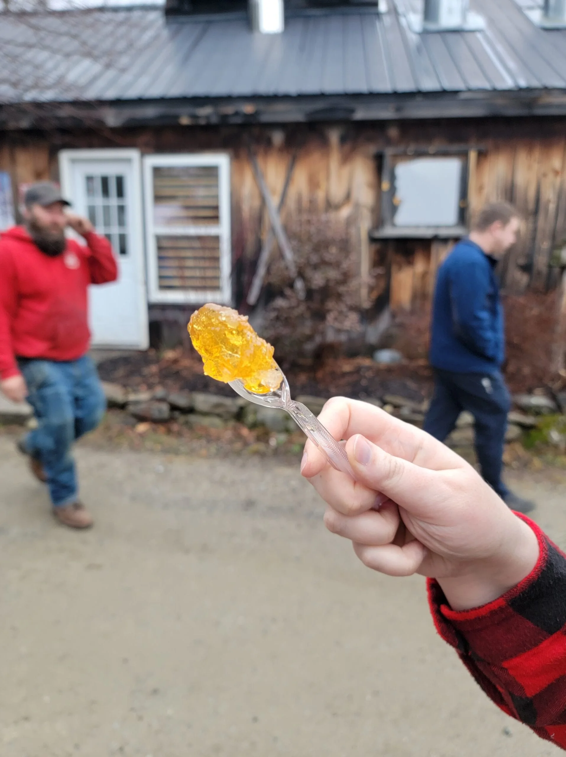 A hand holds up a plastic spoon that is coated in chilled maple syrup, known as sugar on snow.