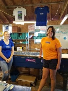 Two employees standing on either side of a sorting table full of blueberries