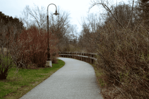 walking path curving to the left past bushes and the river