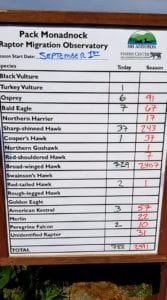 Tally board for daily and total hawk sightings