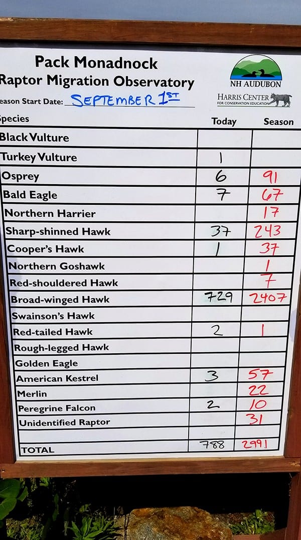 Tally board for daily and total hawk sightings