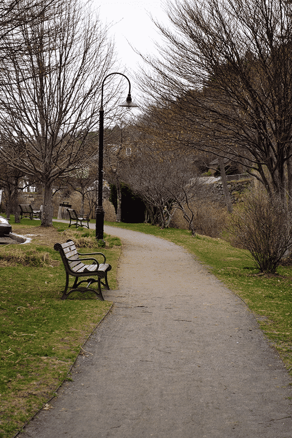 dirt pathway against the river with benches