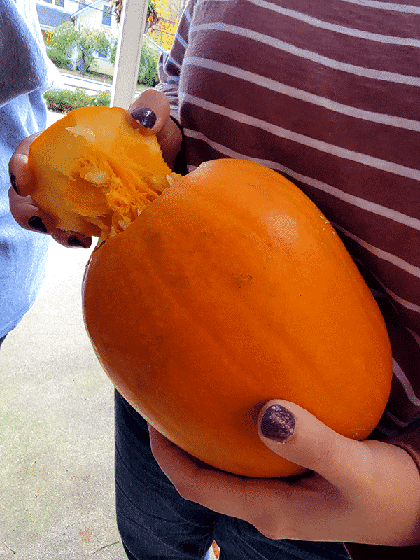 the bottom of a pumpkin is cut and being removed with stringy seeds
