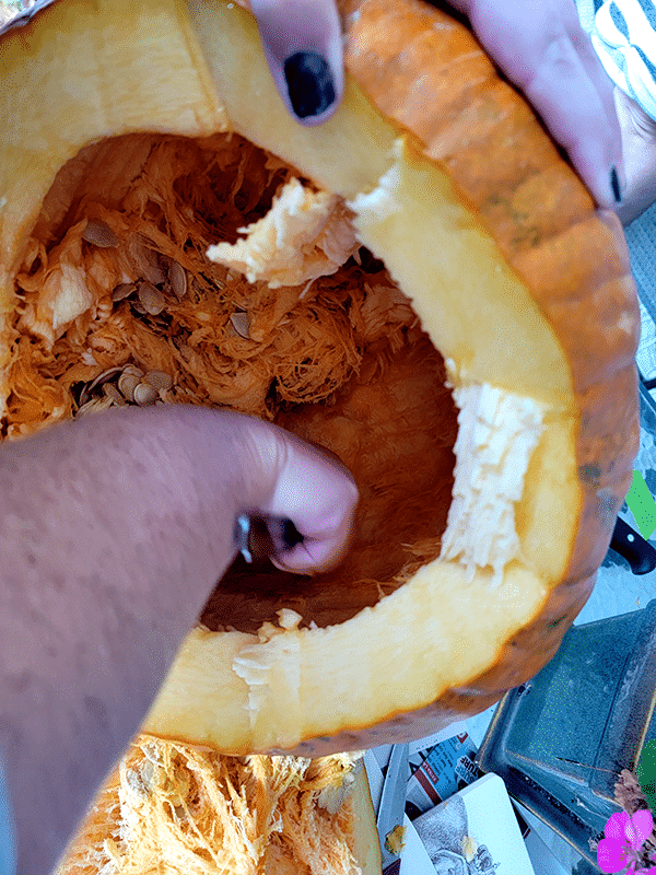 A large pumpkin is being hollowed out with a spoon