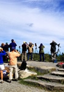 Several people using binoculars and periscopes to watch for hawks.